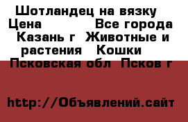 Шотландец на вязку › Цена ­ 1 000 - Все города, Казань г. Животные и растения » Кошки   . Псковская обл.,Псков г.